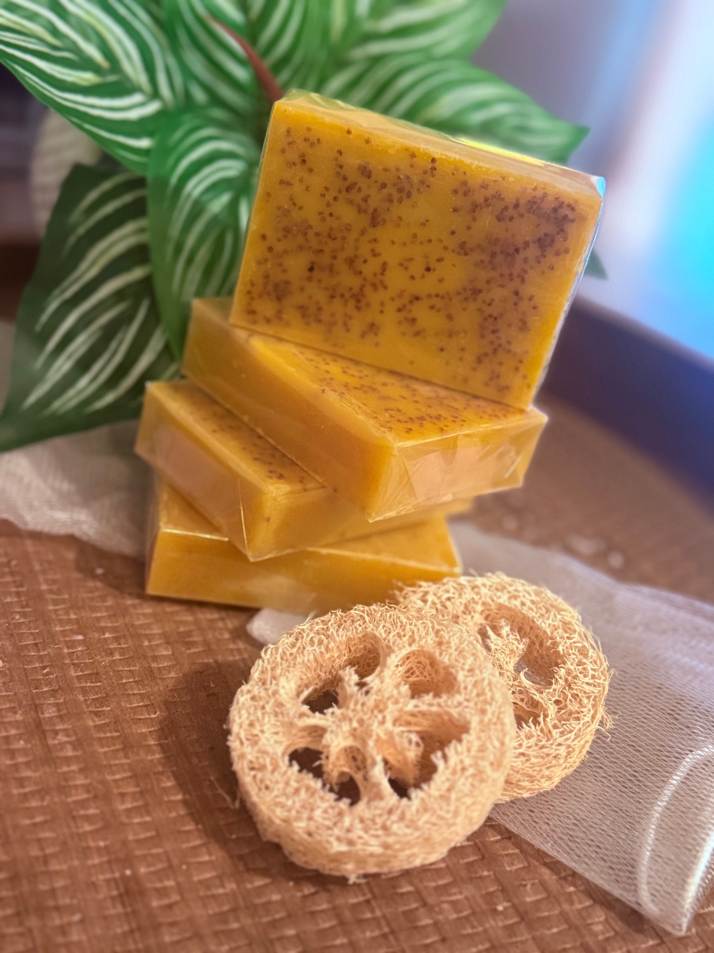 🍋‍🟩🫚 Cúrcuma & Limón🫚🍋‍🟩