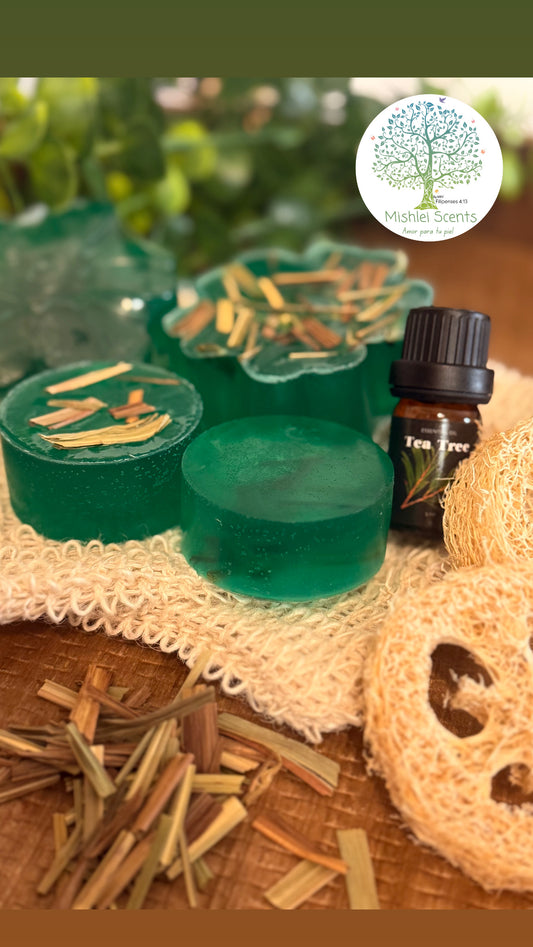 🌿Aloe Vera & Árbol De Té🌳