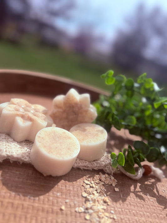 🥥Coco & Avena✨